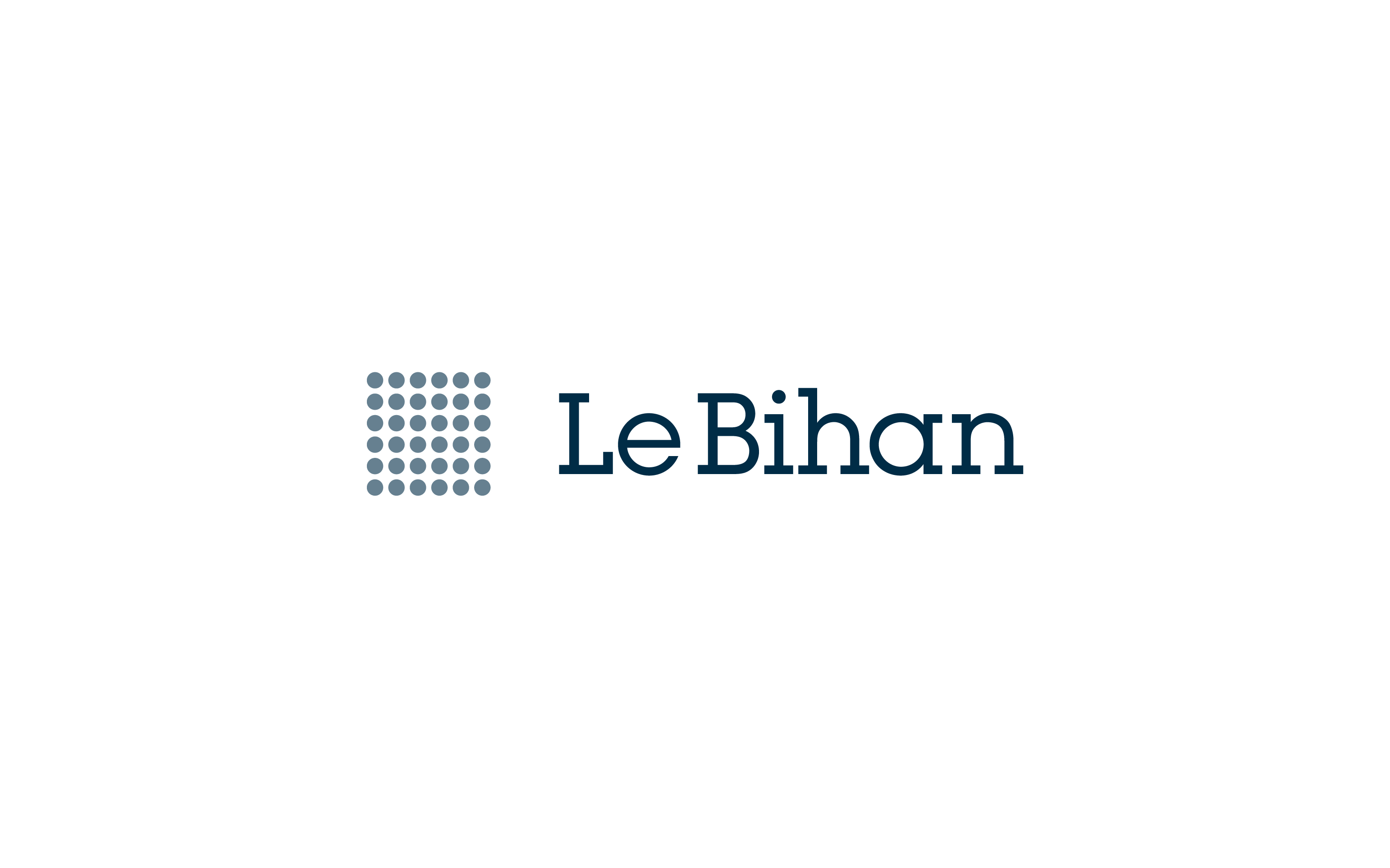 Le Bihan Consulting GmbH Logo